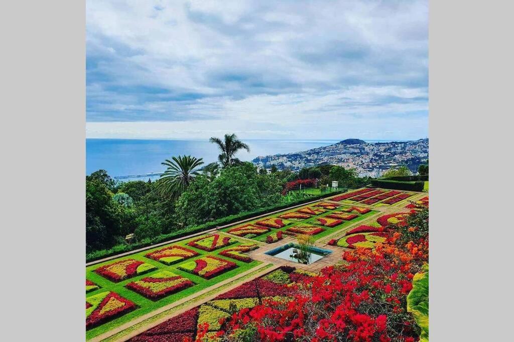 Funchal Center Apartment II ภายนอก รูปภาพ